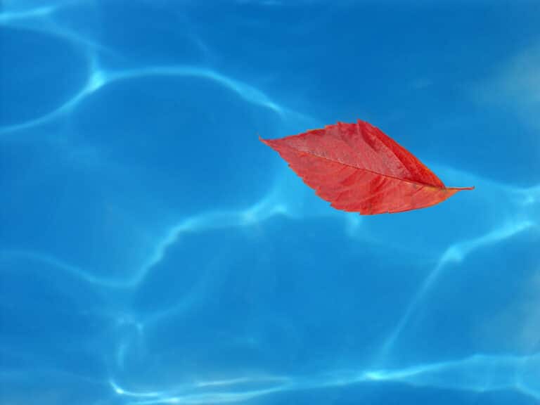Schedule your pool renovation this fall.
