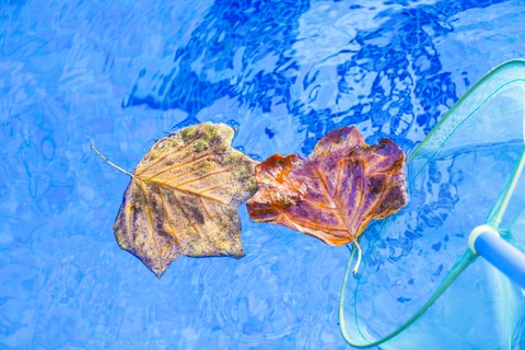 fall maintenance tips for your pool